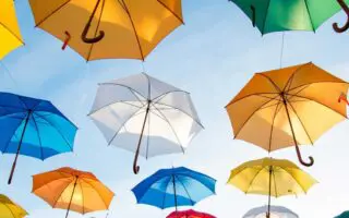 Alerte canicule en Algérie : jusqu’à 49 °C ce lundi 20 juillet, les wilayas concernées
