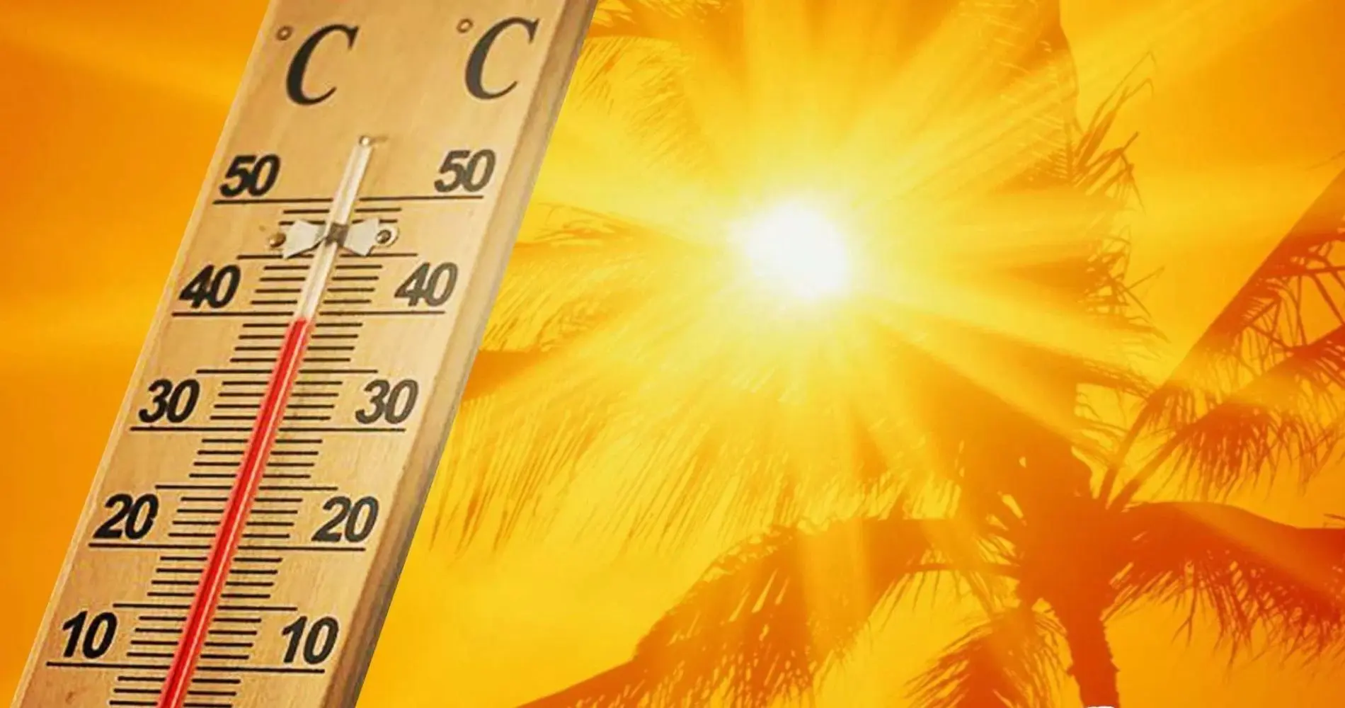 Canicule en Algérie : 45 à 48 °C attendus jusqu&rsquo;au 20 juillet dans plus de 35 wilayas