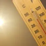 Canicule en Algérie : la vague de chaleur se prolonge jusqu’à jeudi, plusieurs wilayas sous alerte