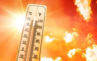 BMS – Canicule en Algérie : vague de chaleur dans plusieurs wilayas jusqu&rsquo;à lundi
