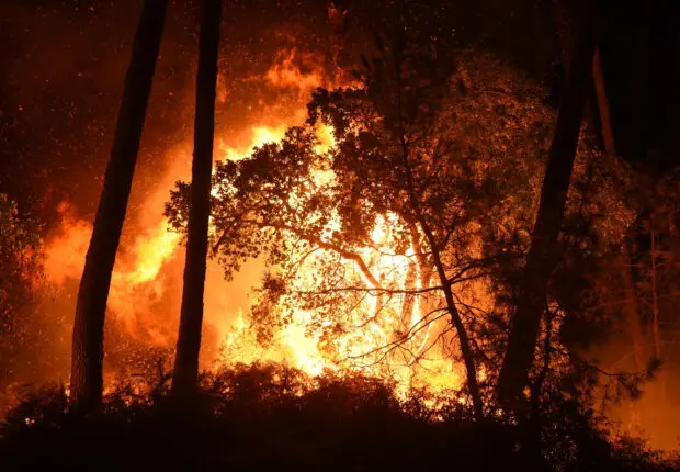 Le directeur général des forêts dévoile les causes de la propagation des feux en Algérie