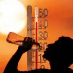 Jusqu&rsquo;à 49 °C en Algérie : la canicule se poursuit, les alertes maintenues ce vendredi 24 juillet