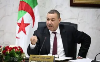 Gangs de quartier : Sayoud veut prendre le problème à la racine