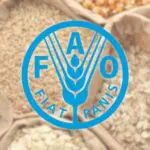 Prix alimentaires mondiaux : ce que révèle le dernier rapport de la FAO