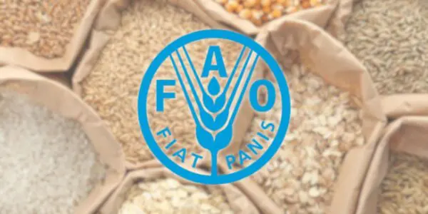 Prix alimentaires mondiaux : ce que révèle le dernier rapport de la FAO