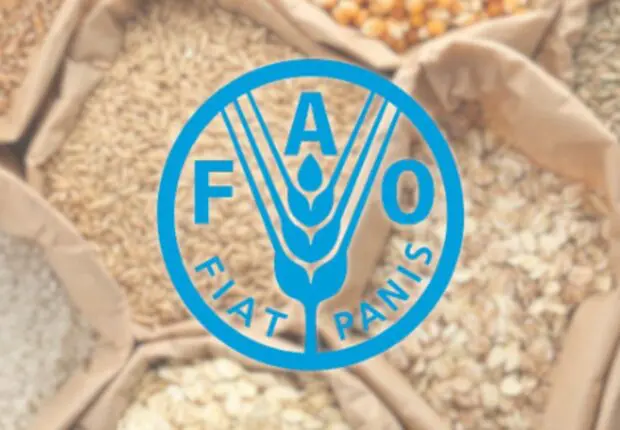 Prix alimentaires mondiaux : ce que révèle le dernier rapport de la FAO
