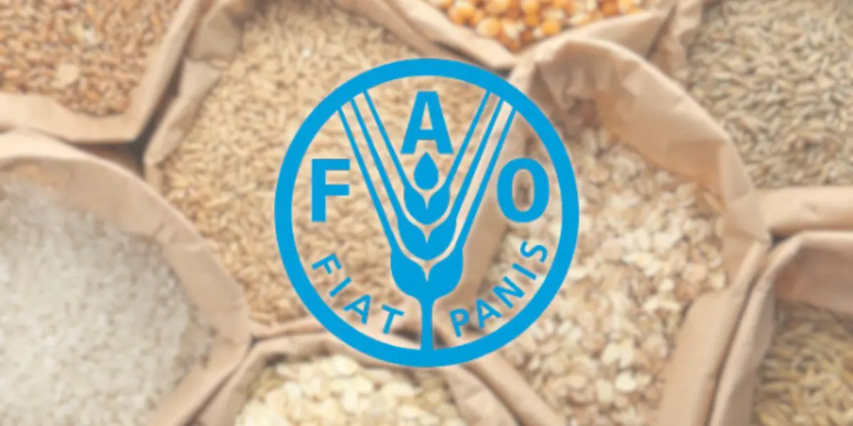 Prix alimentaires mondiaux : ce que révèle le dernier rapport de la FAO