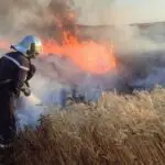 Plus de 110 incendies recensés en 24h : la Protection civile tire la sonnette d&rsquo;alarme