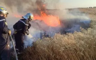 Plus de 110 incendies recensés en 24h : la Protection civile tire la sonnette d’alarme