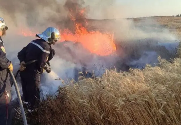 Plus de 110 incendies recensés en 24h : la Protection civile tire la sonnette d&rsquo;alarme