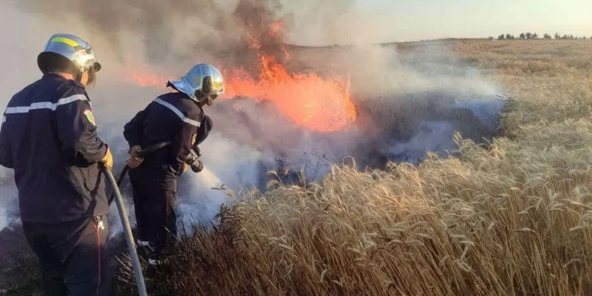 Plus de 110 incendies recensés en 24h : la Protection civile tire la sonnette d’alarme