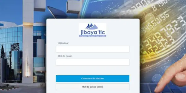 Paiement des impôts en ligne : voici comment utiliser le nouveau service lancé aujourd’hui