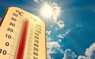 BMS – Météo Algérie : jusqu’à 49 °C, une vague de chaleur frappe plusieurs wilayas ce mardi 18 août