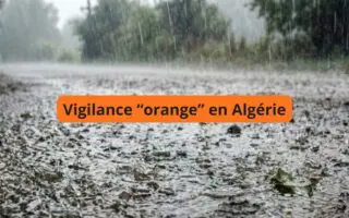 BMS – Météo Algérie : pluies jusqu’à 40 mm et orages dans plusieurs wilayas dès 14h ce jeudi