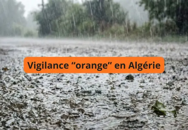 BMS – Météo Algérie : pluies jusqu’à 40 mm et orages dans plusieurs wilayas dès 14h ce jeudi