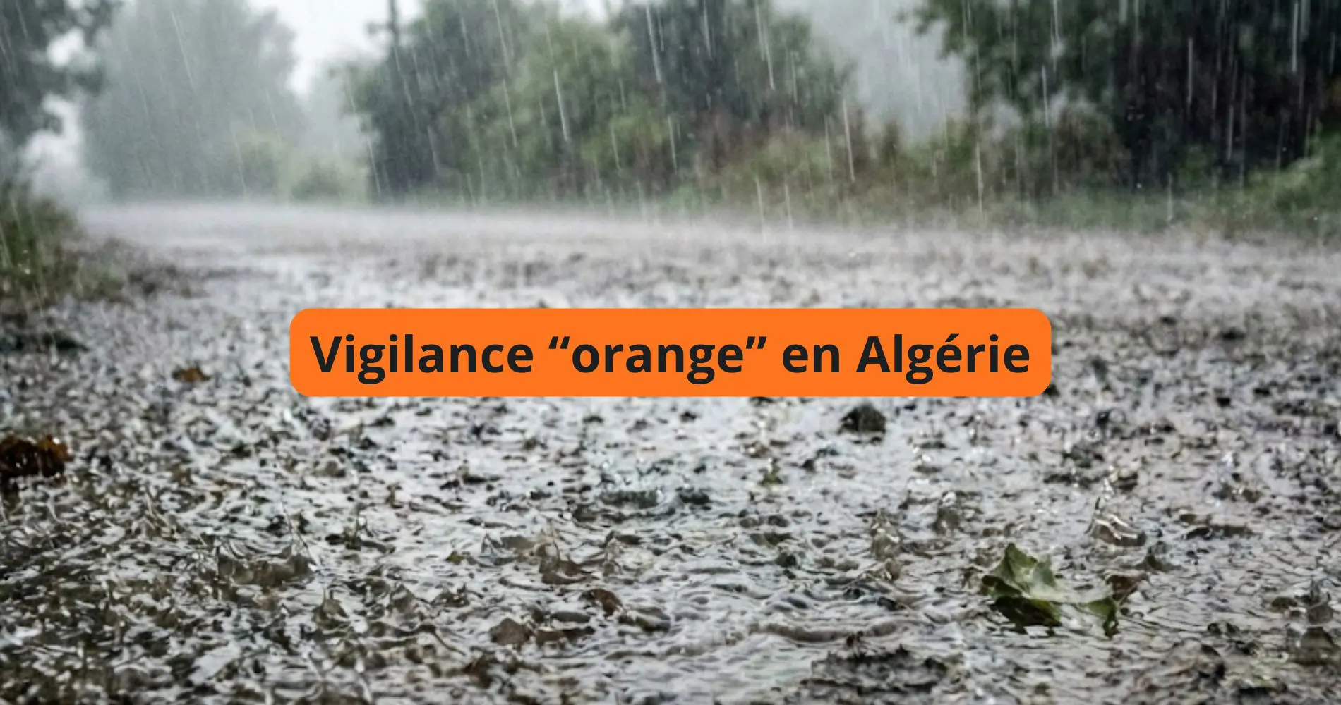 BMS – Météo Algérie : pluies jusqu’à 40 mm et orages dans plusieurs wilayas dès 14h ce jeudi