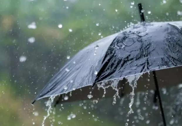 Nouveau BMS – Météo Algérie : fortes pluies ce soir et demain, voici les wilayas en vigilance