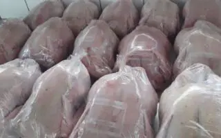 À 320 DA/kg : La SARPA injecte du poulet « local » congelé sur le marché national