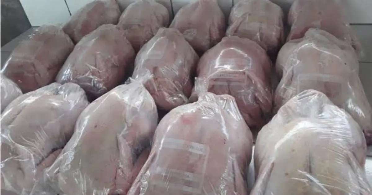 À 320 DA/kg : La SARPA injecte du poulet « local » congelé sur le marché national