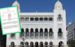 Cartes grises à Ouled Fayet : La wilaya d&rsquo;Alger réagit après une vidéo polémique