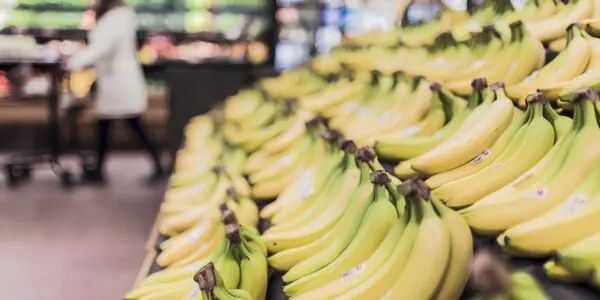 Spéculation sur la banane : 10 ans de prison ferme contre un grossiste ayant dissimulé 28 quintaux