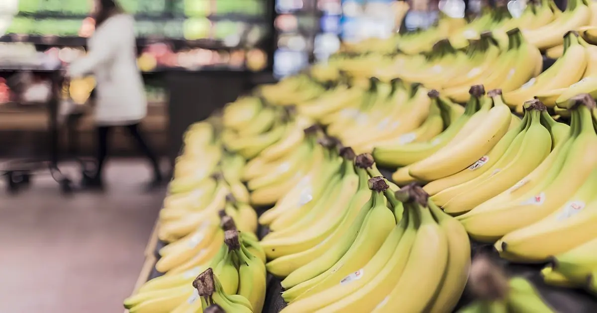 Jusqu’à 850 DA/kg : « Himayatec » réclame toute la lumière sur le marché de la banane