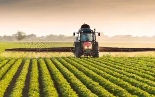 5 millions de tonnes : l’Algérie s&rsquo;approche d&rsquo;un niveau record pour cette récolte stratégique en 2026
