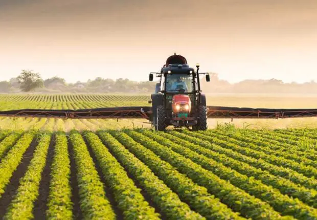 5 millions de tonnes : l’Algérie s&rsquo;approche d&rsquo;un niveau record pour cette récolte stratégique en 2026
