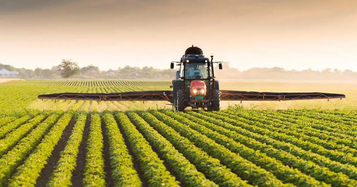 5 millions de tonnes : l’Algérie s’approche d’un niveau record pour cette récolte stratégique en 2026