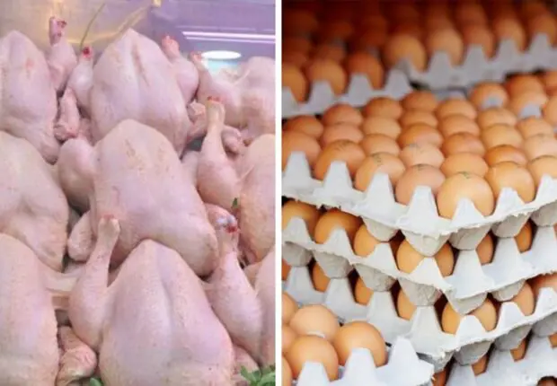 Poulet à 500 DA/kg, plateau d&rsquo;œufs à 600 DA : l&rsquo;État intervient pour faire chuter les prix