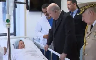 Origine des incendies en Algérie : Tebboune évoque la piste criminelle