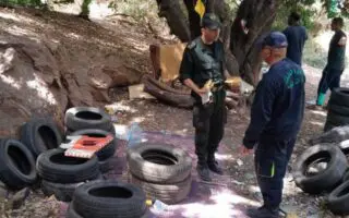 Des dizaines de pneus usagés retrouvés dans les maquis de Blida et Boumerdès