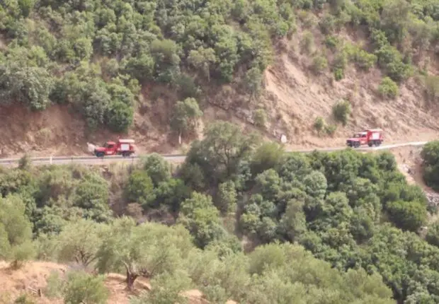 Incendies en Algérie : communications et Internet temporairement gratuits dans ces régions