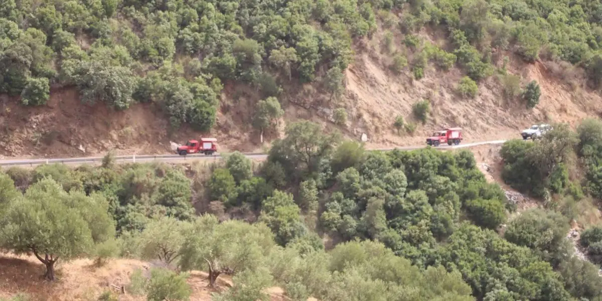 Incendies en Algérie : communications et Internet temporairement gratuits dans ces régions