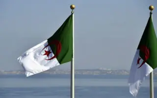 La production a bondi de 422 % : l&rsquo;ONU révèle l&rsquo;essor de ce secteur en Algérie