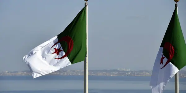 La production a bondi de 422 % : l&rsquo;ONU révèle l&rsquo;essor de ce secteur en Algérie
