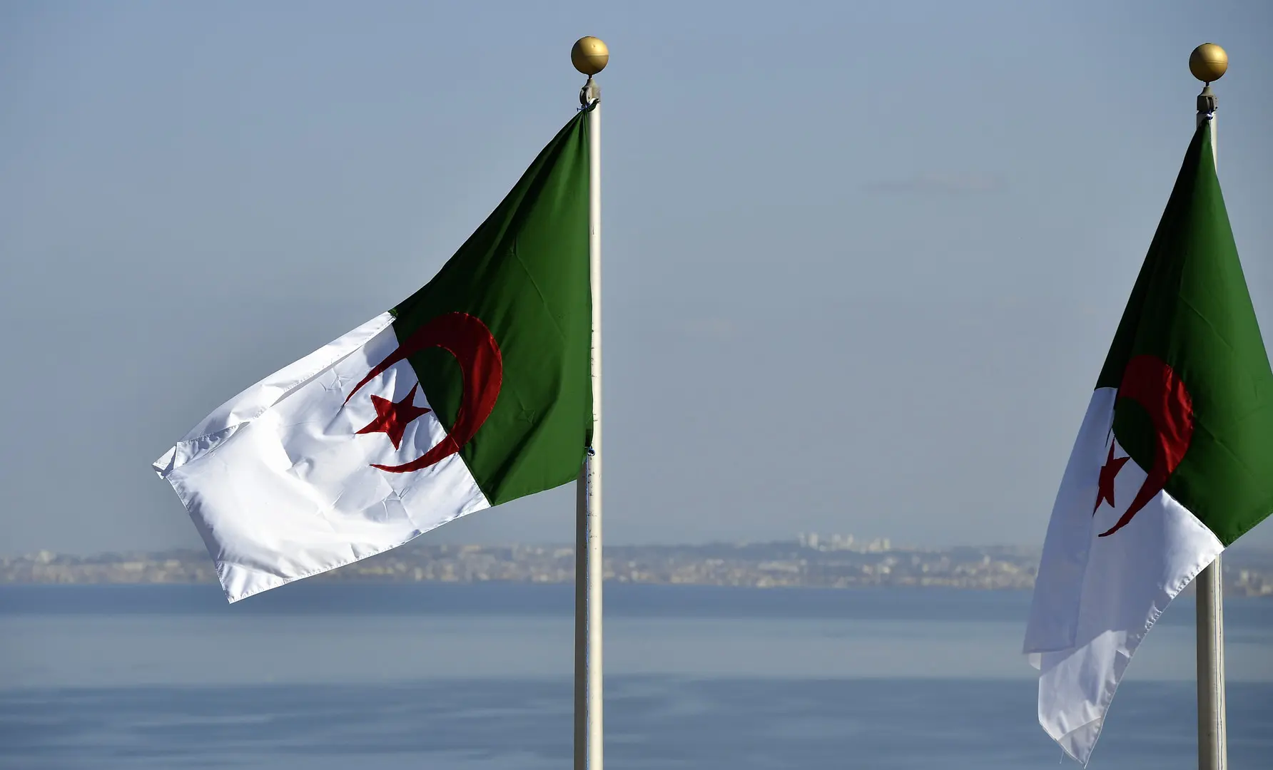 La production a bondi de 422 % : l’ONU révèle l’essor de ce secteur en Algérie