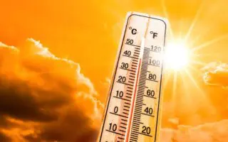 Jusqu’à 45 °C en Algérie : la canicule se prolonge jusqu’à mardi, voici les wilayas concernées
