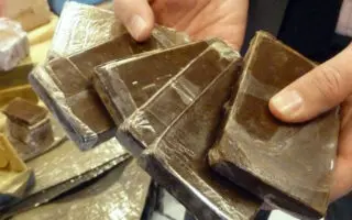 Trafic de drogue en Algérie : ce que prévoit le nouveau décret pour encourager les signalements