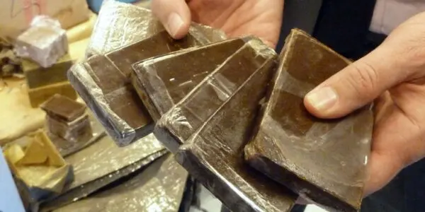 Trafic de drogue en Algérie : ce que prévoit le nouveau décret pour encourager les signalements
