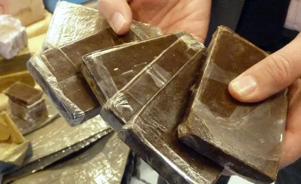 Trafic de drogue en Algérie : ce que prévoit le nouveau décret pour encourager les signalements