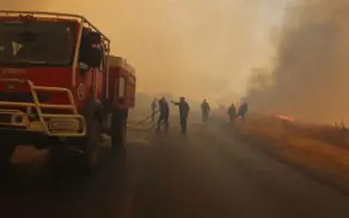 Incendies en Algérie : voici le dernier bilan de la protection civile