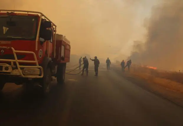 Incendies en Algérie : voici le dernier bilan de la protection civile