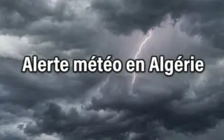 Prévisions météo du week-end en Algérie : orages, pluies et forte chaleur, voici ce qui vous attend