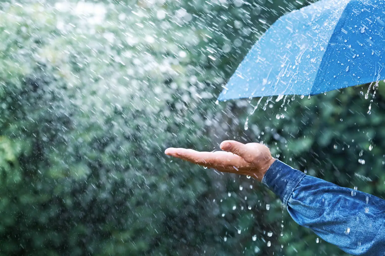 Météo – Après l&rsquo;épisode caniculaire, la pluie fait son retour dans ces 11 wilayas ce 28 août