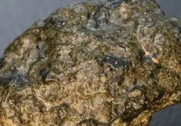 Une météorite retrouvée en Algérie révèle un indice vieux de 1,27 milliard d’années sur Mars