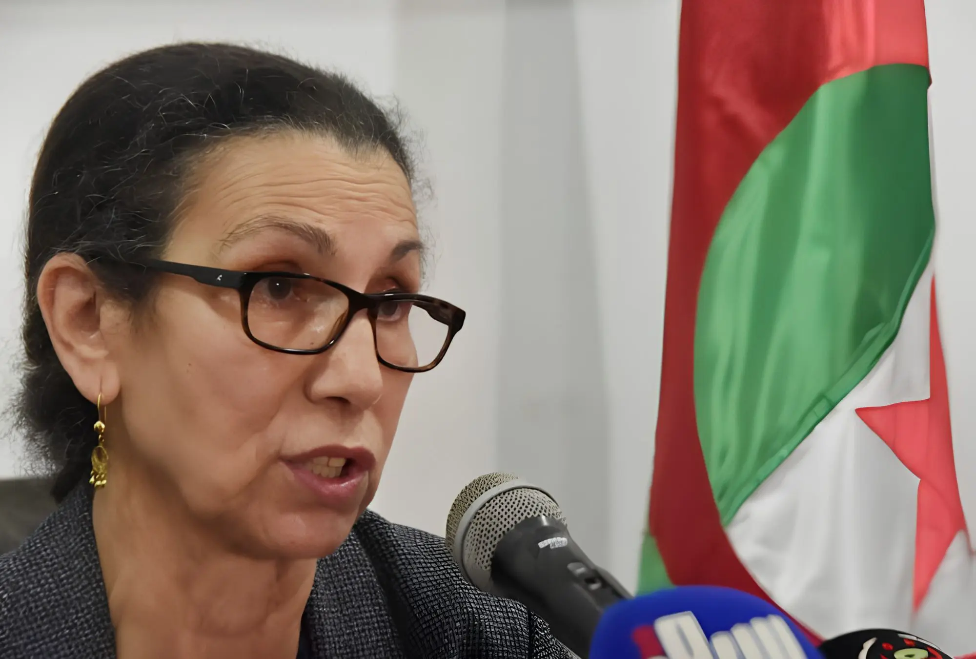 Réforme de l’école algérienne : Louisa Hanoune conteste le projet et appelle Tebboune à agir (vidéo)