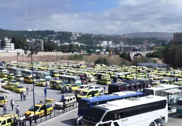 Transport en Algérie : les professionnels du secteur lancent un appel urgent à Tebboune