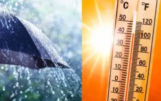 Météo Algérie : pluies et orages dès 15h ce lundi, la canicule persiste mardi dans plusieurs wilayas