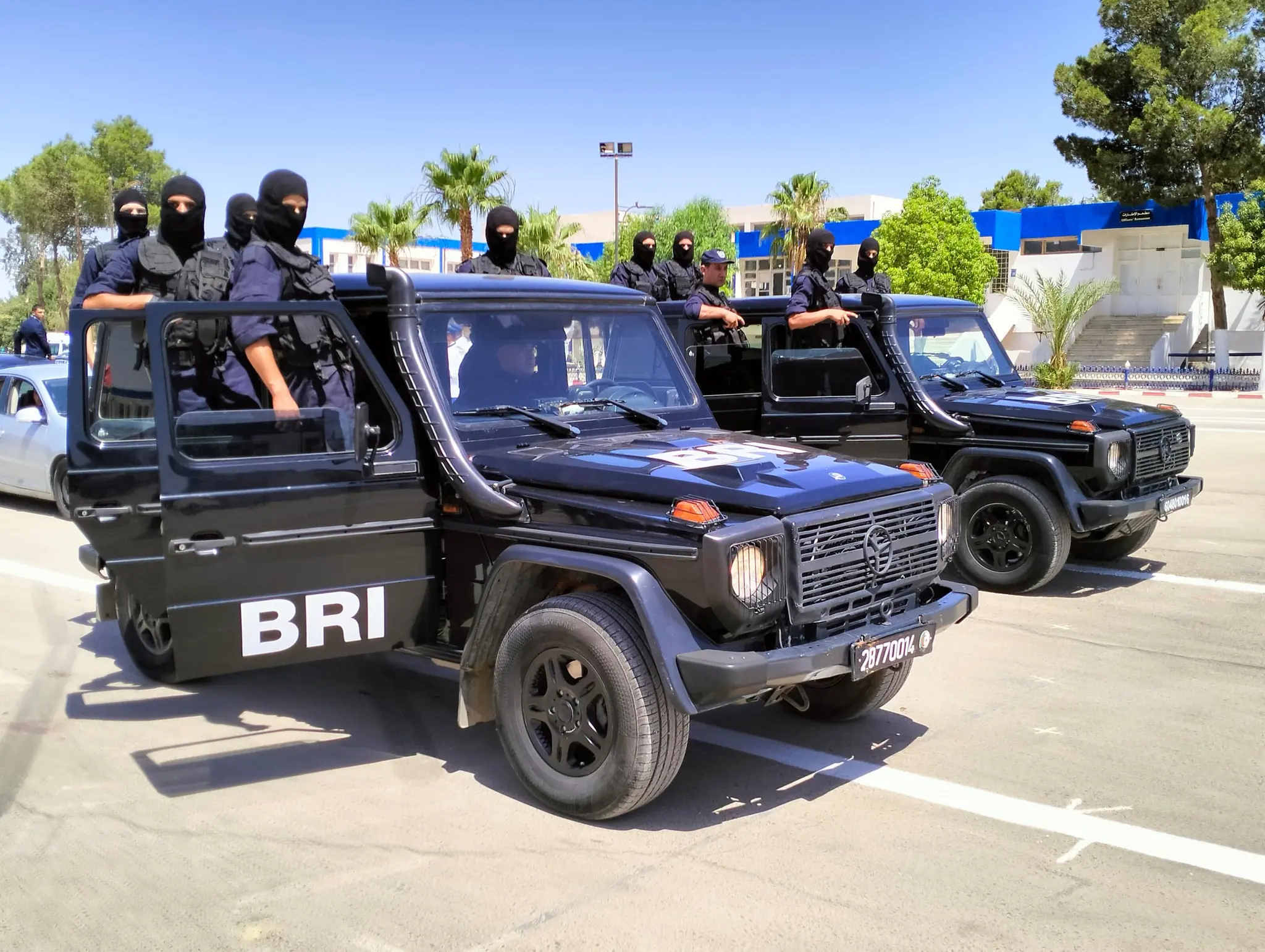 20 suspects arrêtés, 46 véhicules saisis : la BRI fait tomber un réseau criminel à Oran